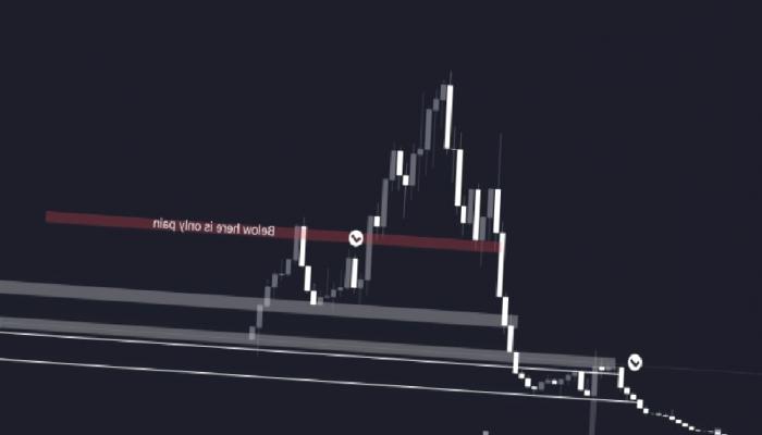 Gelecek Haftalarda Fiyatını Katlayacak 2 Altcoin Belirli Oldu!