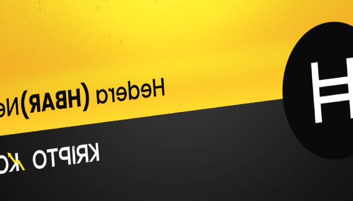 Hedera Nedir? HBAR Coin Nasıl Alınır?