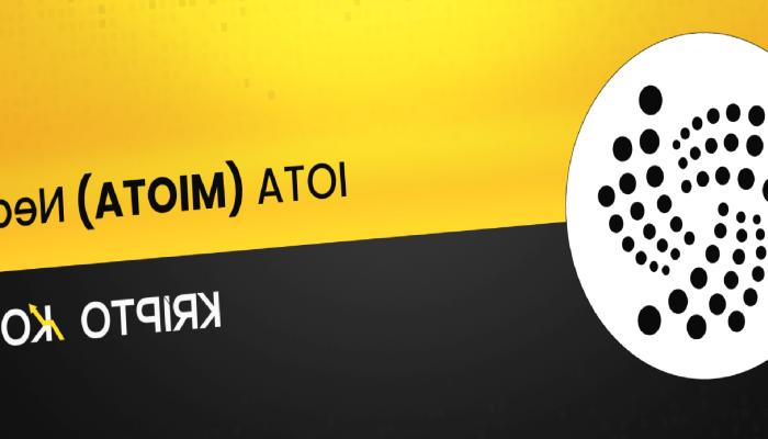 IOTA Nedir? MIOTA Coin Nasıl Alınır?