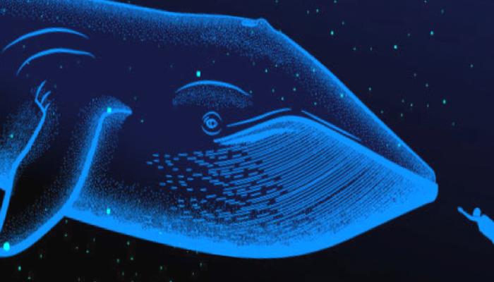 İşte Balinaların En Çok Trade Ettiği 28 Altcoin!