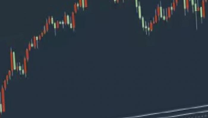 İşte Haftanın En Tanınan 5 Altcoin’i ve Beklentiler!