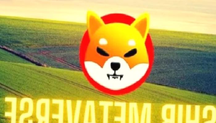 Kıymetli Haber: SHIB ve Amazon’dan Paydaşlık Programı!