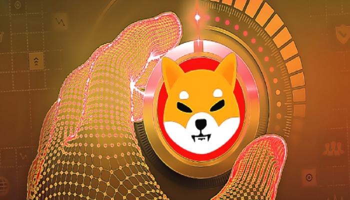Kritik Shiba Inu Kestirimi: SHIB Haziran’ın Sonuna Kadar…