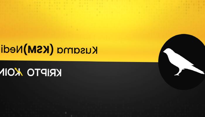 Kusama Nedir? KSM Coin Nasıl Alınır?