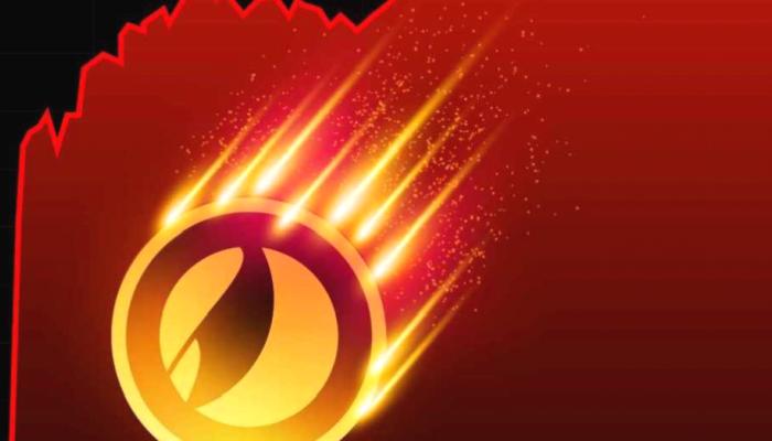 LUNA Durumu Olan Yönetici: Bu 2 Altcoin’e Bakın!