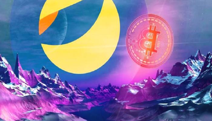 LUNA ve UST Olayında Dev Tez: Yüzmilyonlar Kazanıldı!