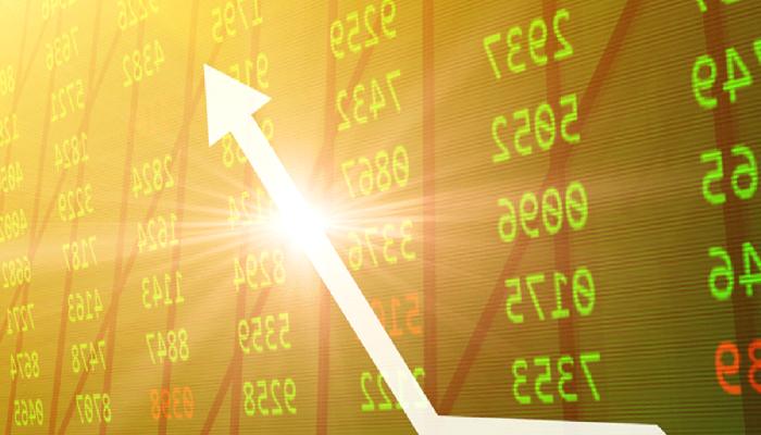 LUNA’dan Sonra Yatırımcıların Süratle Aldığı Altcoin, SHIB’i Geçti!