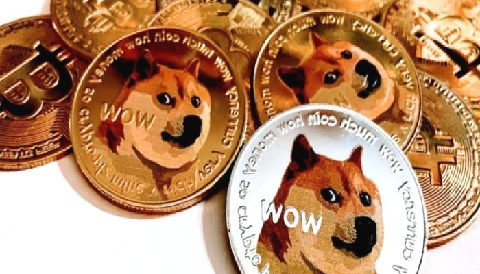 Milyarder: DOGE ve Bu Altcoin’ler İçin İstenen Yasak Korkutuyor!