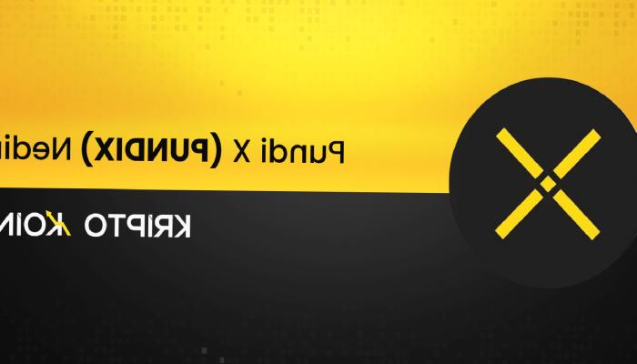 Pundi X Nedir? PUNDIX Nasıl Alınır?
