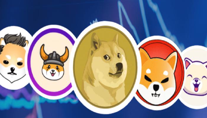 SHIB, DOGE Değil: Bu Meme Coin Haberle Fırladı!