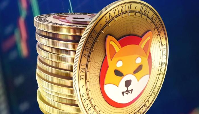 SHIB, Solana’yı Unutun: Bu 4 Altcoin’e Bakın!