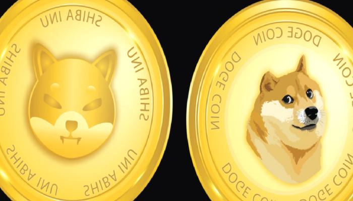 SHIB ve DOGE’dan Değerli Duyuru: 17 Mayıs’a Dikkat!