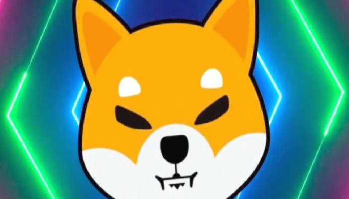 Shiba Inu Metaverse Grubu Değerli Bir İsmi Bünyesine Kattı