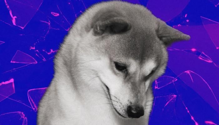 Shiba Inu Mucidi Bombayı Patlattı: Gelecek Hafta…