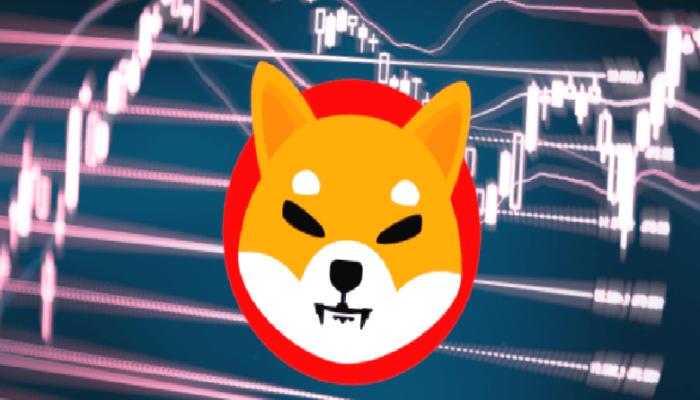 Shiba Inu Mucidi Sonunda Paylaştı: Beklenen Haber Geldi!