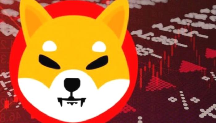 Shiba Inu Mucidinden Değerli Varsayımlar ve Tavsiyeler!