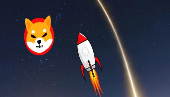 Shiba Inu’da Balina Hareketliliği: SHIB Ne Olacak?