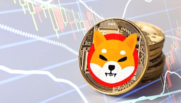 SHIB’te Dev Patern: Bu Hafta O Düzeyler Bekleniyor!