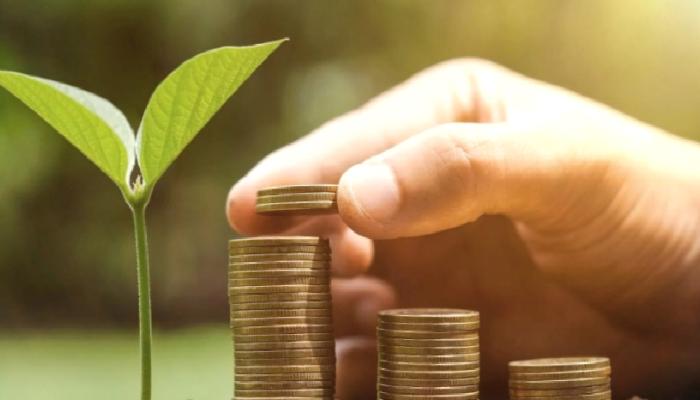 Toplumsal Medya Devi Duyurdu: Bu 4 Altcoin Eklenecek!