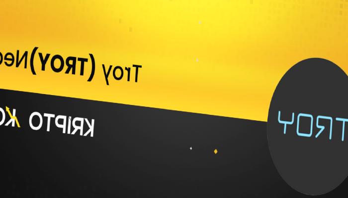 TROY Nedir? TROY Ne İşe Yarar?