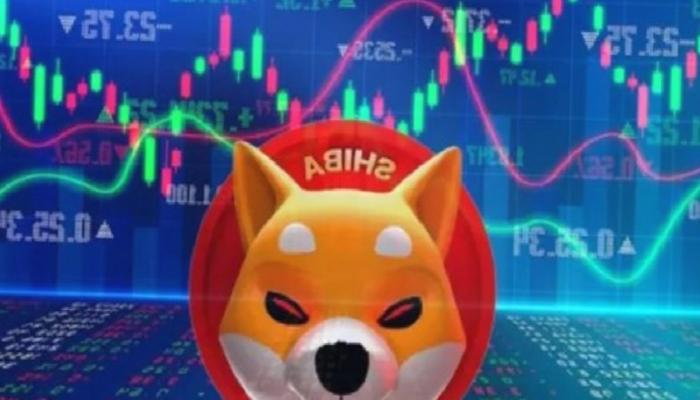 Ünlü Analist, Shiba Inu’da Bu Düzeylere Bahis Yapıyor!