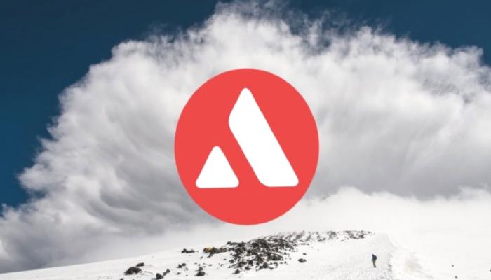 Valkyrie Investments, Avalanche Odaklı Yeni Bir Fon Başlattı 