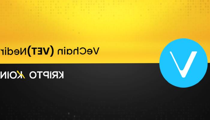 VeChain Nedir? VET Ne İşe Yarar?