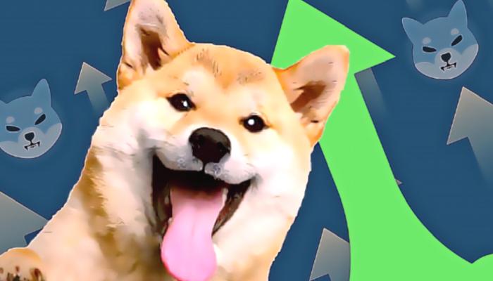 3 Grafik Düzeyleri Belirledi: SHIB ve O 2 Altcoin Patlayacak!