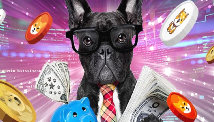 Analistler: SHIB Değil! Bu Meme Coin Temmuz’da Tırmanabilir 