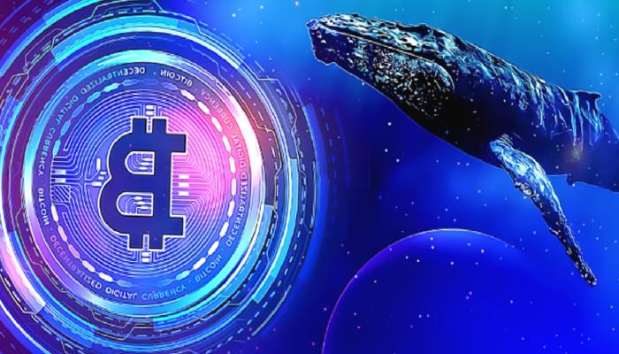 Balinalar Bitcoin Alım-Satım Vaktini Nasıl Belirliyor?