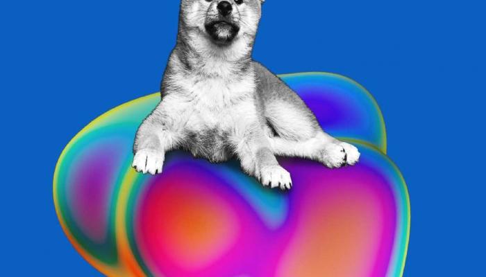 Bilgiler Konuşuyor: Shiba Inu Balinaları Kâr Satışı Yapabilir! 