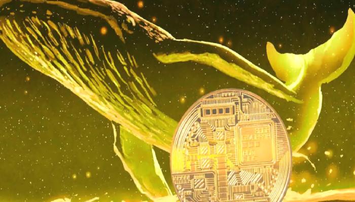 Binance Balinaları, SHIB Değil: Bu Meme Coin’den Stokluyor! 