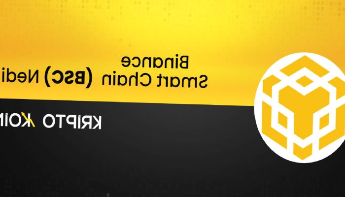 Binance Smart Chain Nedir? BSC Coin Ne İşe Yarar?