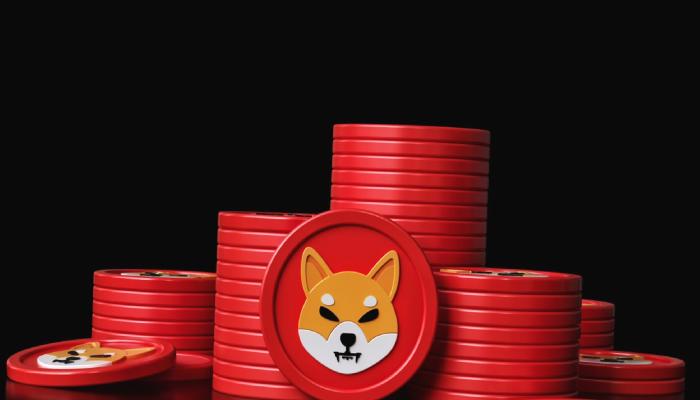 Binance’den SHIB Mükafatları: Büyük Balina Yüklüce Aldı!