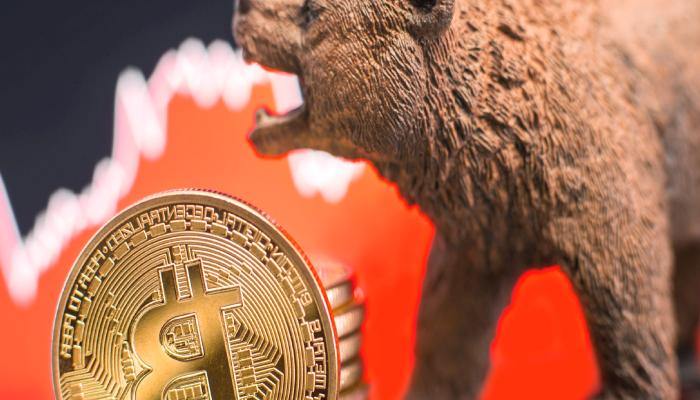 Bitcoin Ayı Piyasasında Nasıl Hayatta Kalınır? İşte İpuçları!