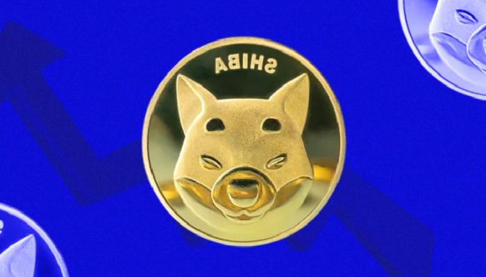 Bitcoin ve SHIB: Haftaya Bu Düzeyler Bekleniyor!