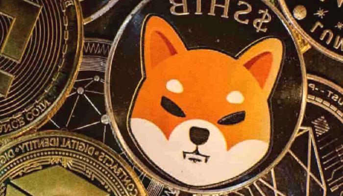 Bloomberg’den SHIB ve Bu Altcoin’ler İçin Müjdeli Haber!