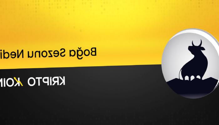 Boğa Dönemi Nedir? Ne Kadar Sürer?