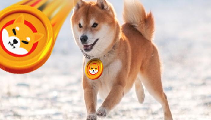 Bomba SHIB Kestirimi Geldi: Yıl Yıl Bu Düzeyler Bekleniyor!