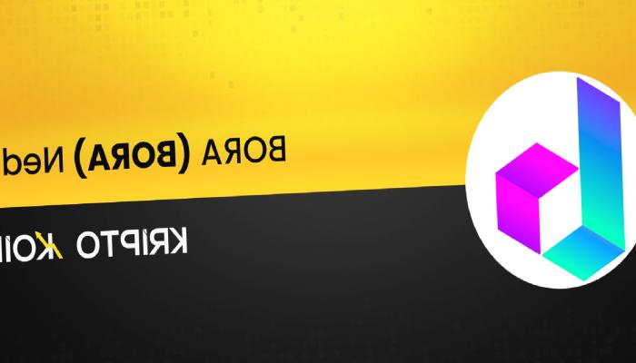 BORA Nedir? BORA Coin Ne İşe Yarar?