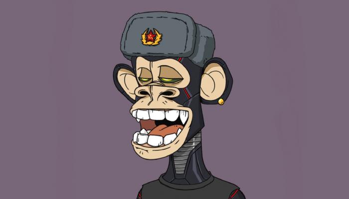 Bored Ape Yacht Club Kurucusu, Nazi Tezlerine Cevap Verdi