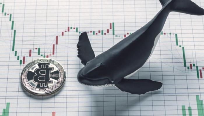 BTC ve ETH’den Çıkan Binance Balinaları, O 3 Altcoin’e Giriyor!
