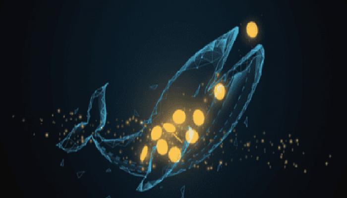 Bu Altcoin, Balina İstilasına Uğradı: Fiyatı Fırladı!