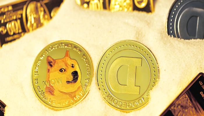 Danışmanlık Devi Sebebini de Açıkladı: Dogecoin’lerinizi Satın!