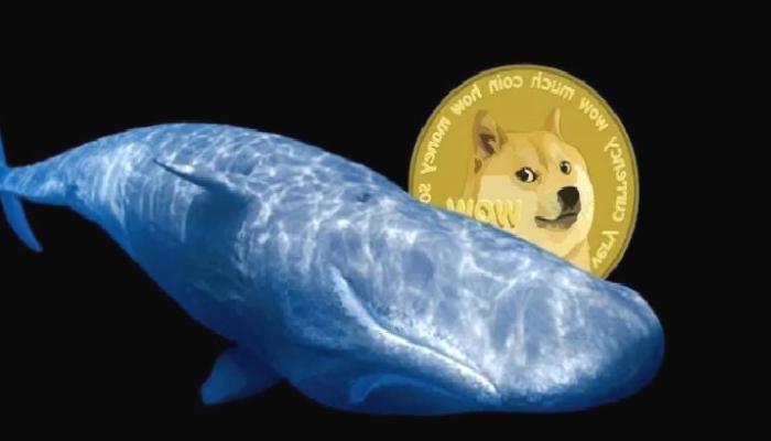 DOGE, LUNA, APE ve Bu 12 Altcoin’e Dikkat: İşte Sıcak Haberler!