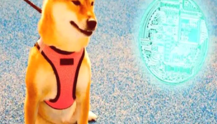 DOGE ve Bu Altcoin’e Dikkat: Hafta Sonu Volatilite Olabilir!