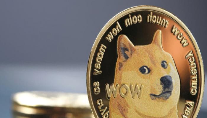 Dogecoin (DOGE) ATH’sinden %92 Düştü