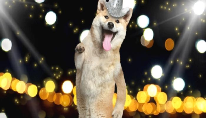 Dogecoin Geliştiricisi Büyük Haberi Duyurdu: Tarihi An!