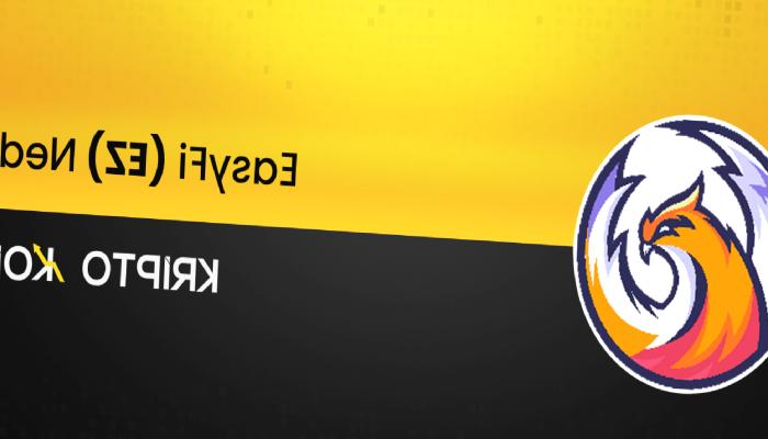 EasyFi Nedir? EZ Ne İşe Yarar?