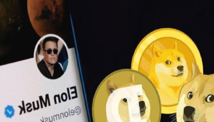 Elon Musk Konuştu: Kimseye Dogecoin Alın Demedim!